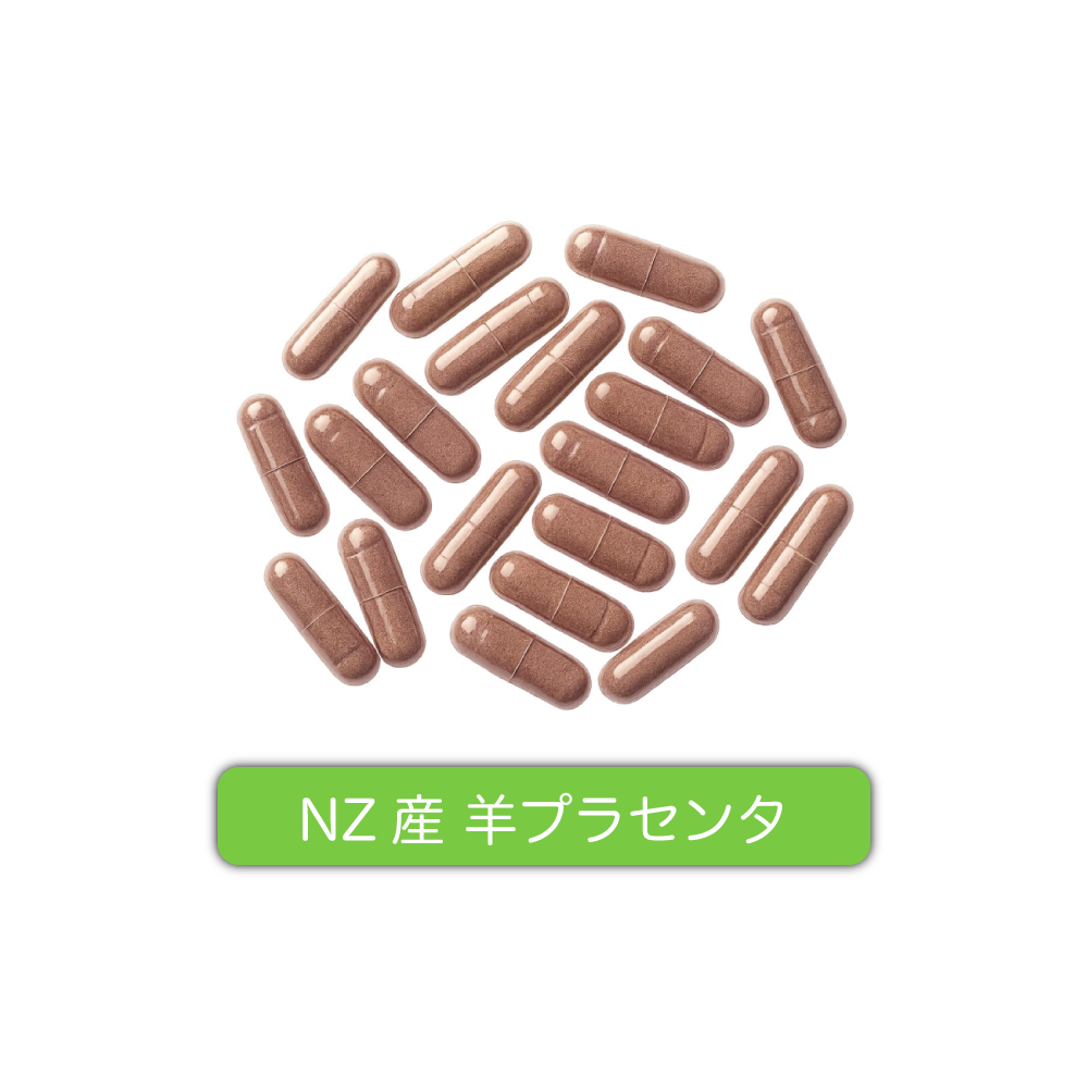 ニュージーランド産羊プラセンタ