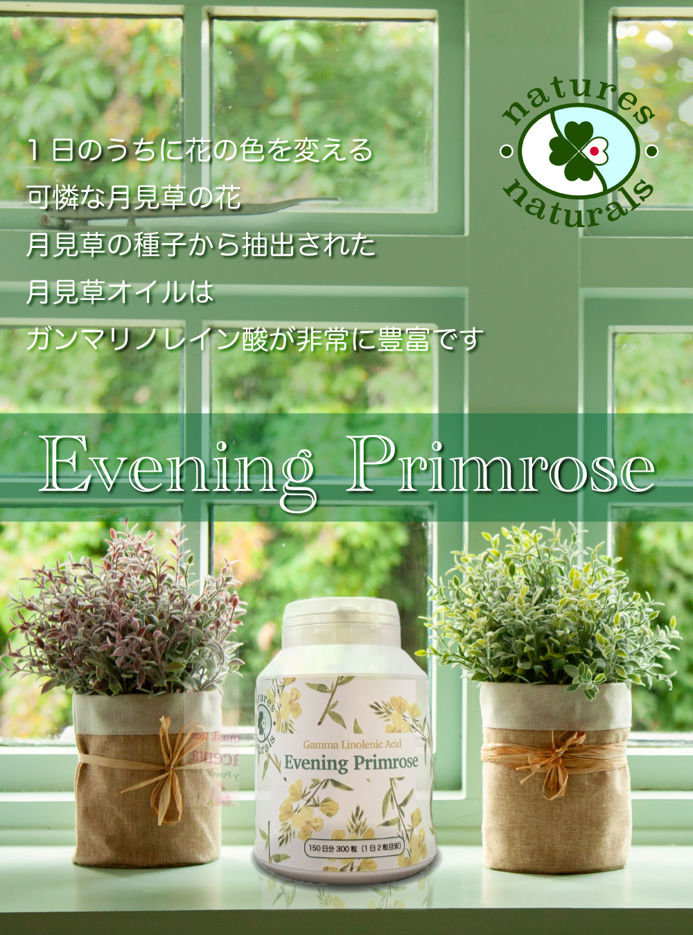 国産サプリメント